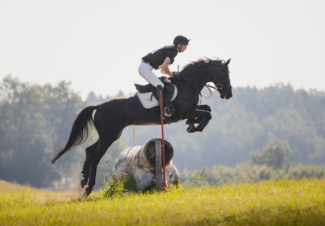 The Latest Body Protector & Riding Hat Safety Standards