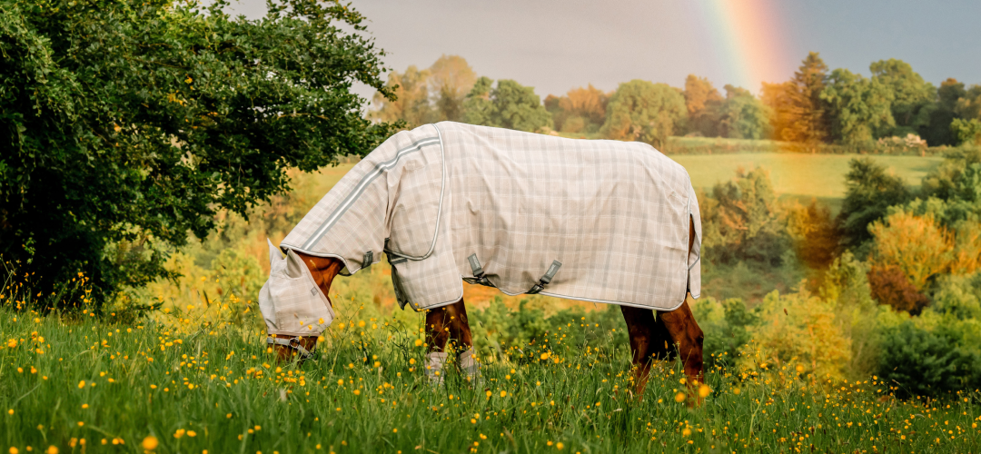 Choosing the Right Fly Rug for Your Horse