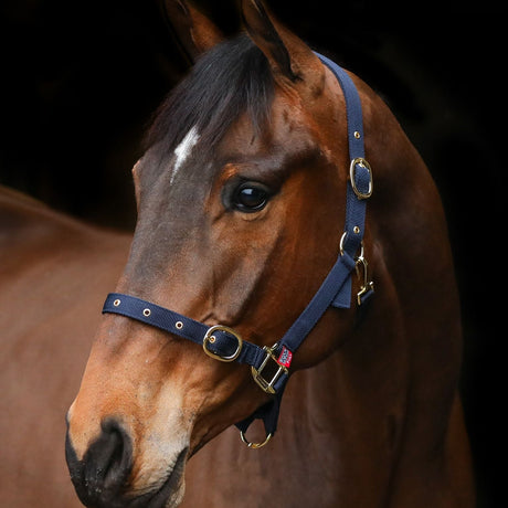 Equi-Sential Nylon Clip Headcollar #colour_navy