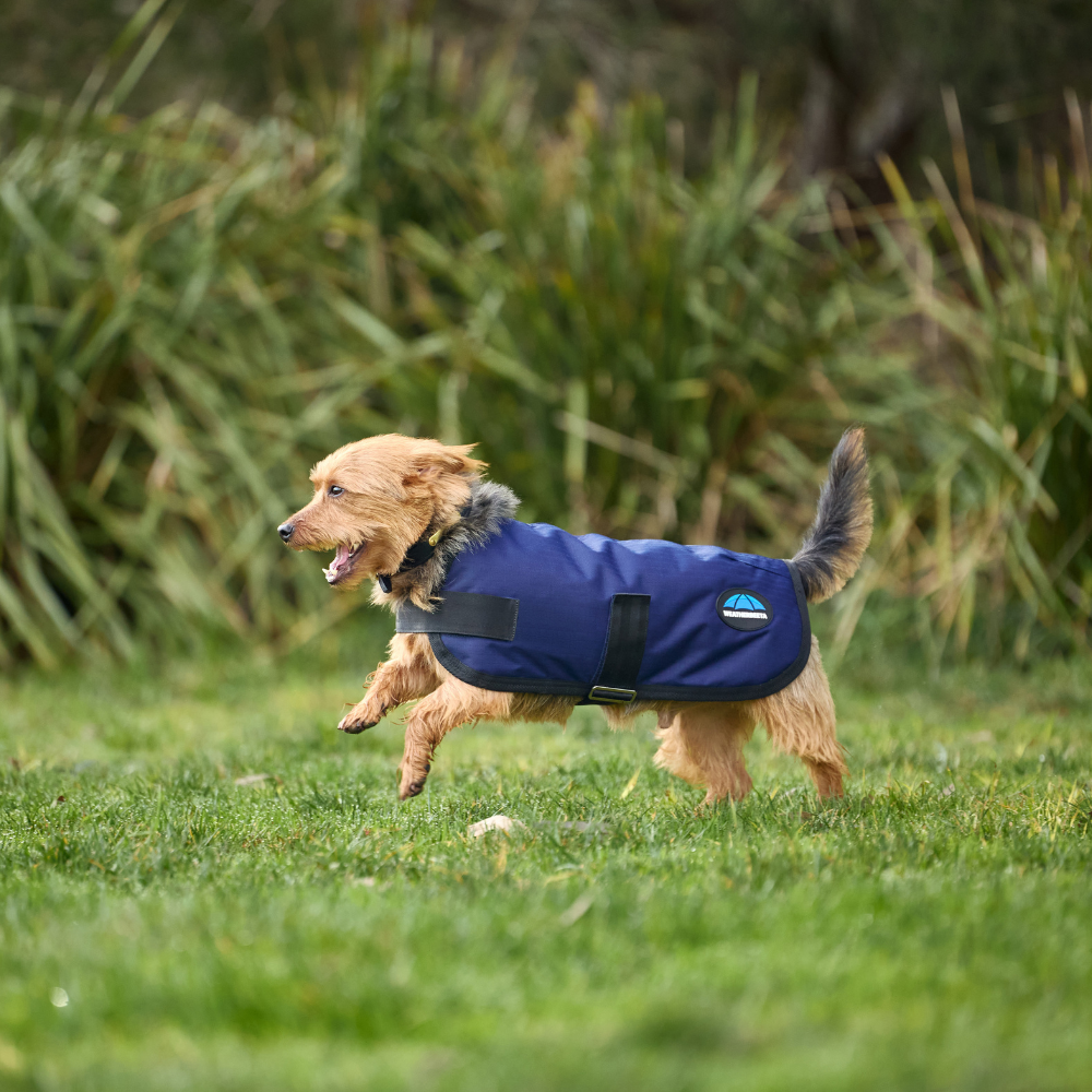 Weatherbeeta Comfitec Classic Waterproof Dog Coat #colour_navy