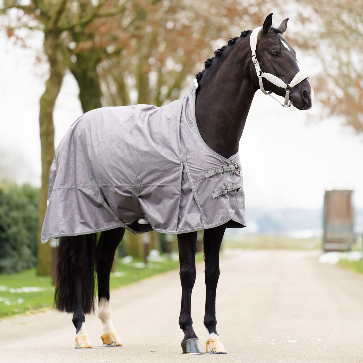 Imperial Riding Super-Dry 50g Turnout Rug #colour_tornado