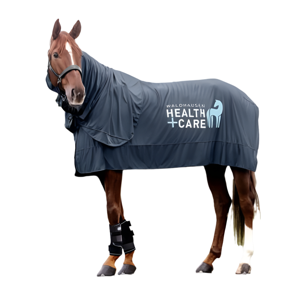 Waldhausen Health & Care Ice Layer Neck Part #colour_night-blue