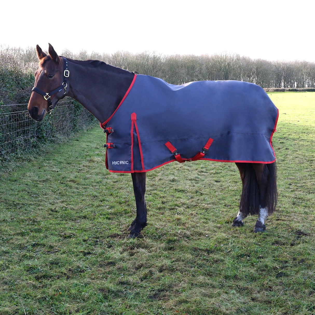 HYCONIC 0g Turnout Rug