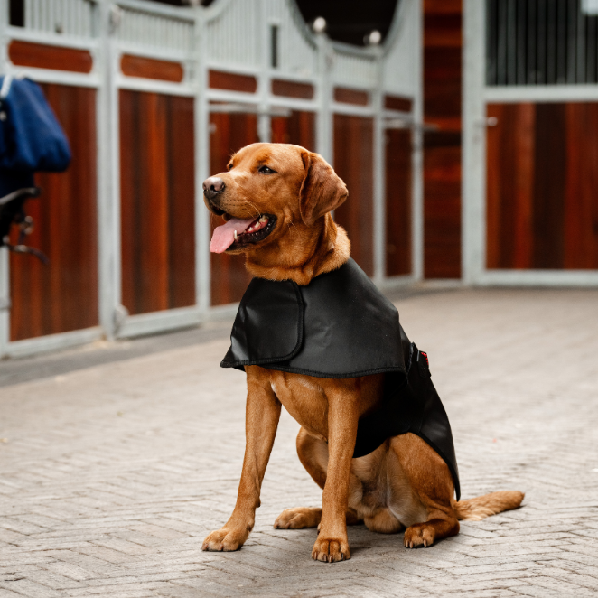 Horseware Ireland LED Red Light Therapy Pet Coat #colour_black-black