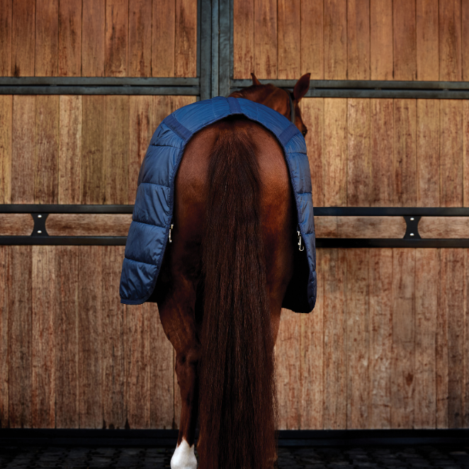 Weatherbeeta Comfitec 50G Liner #colour_navy