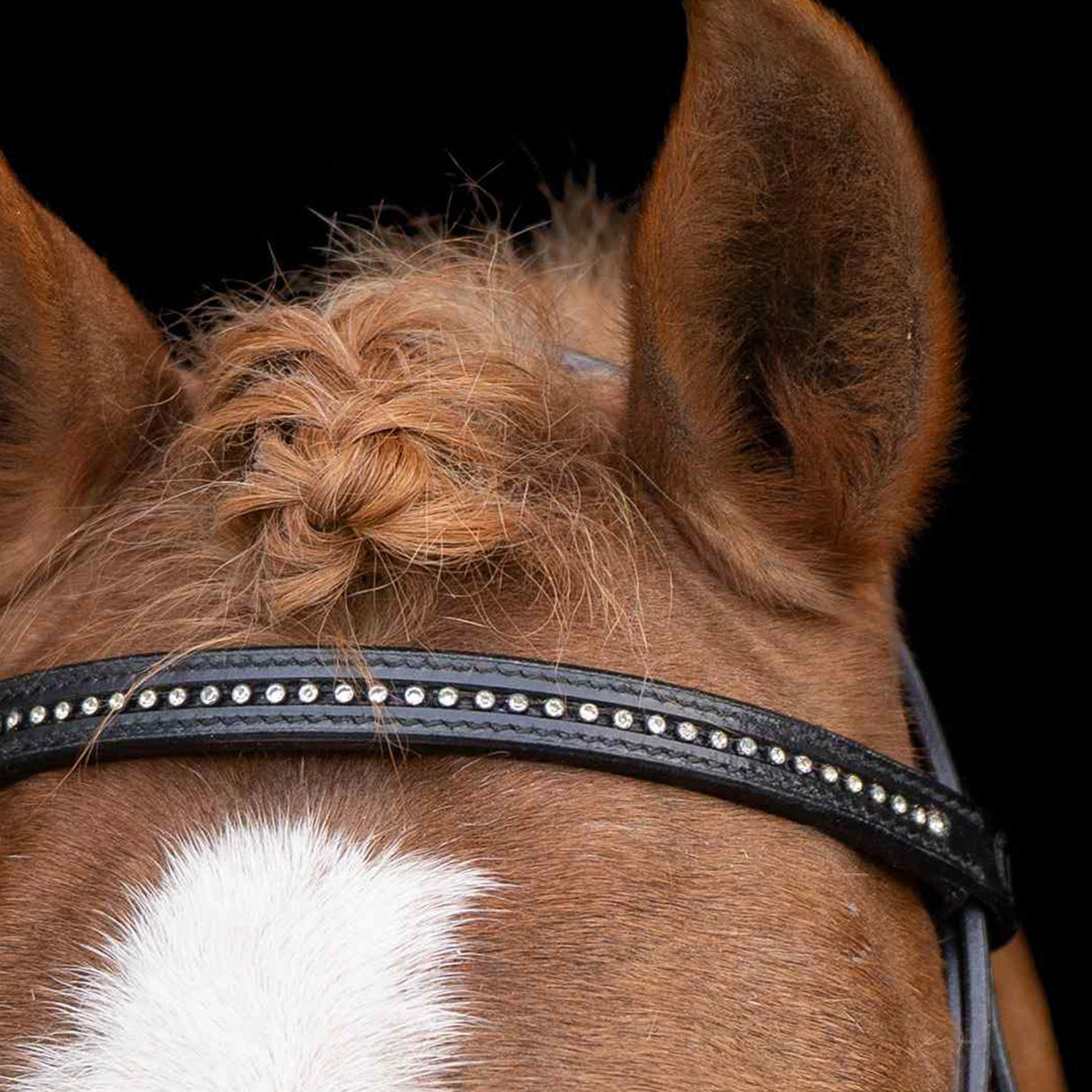 Imperial Riding Stormy Shetty Bridle