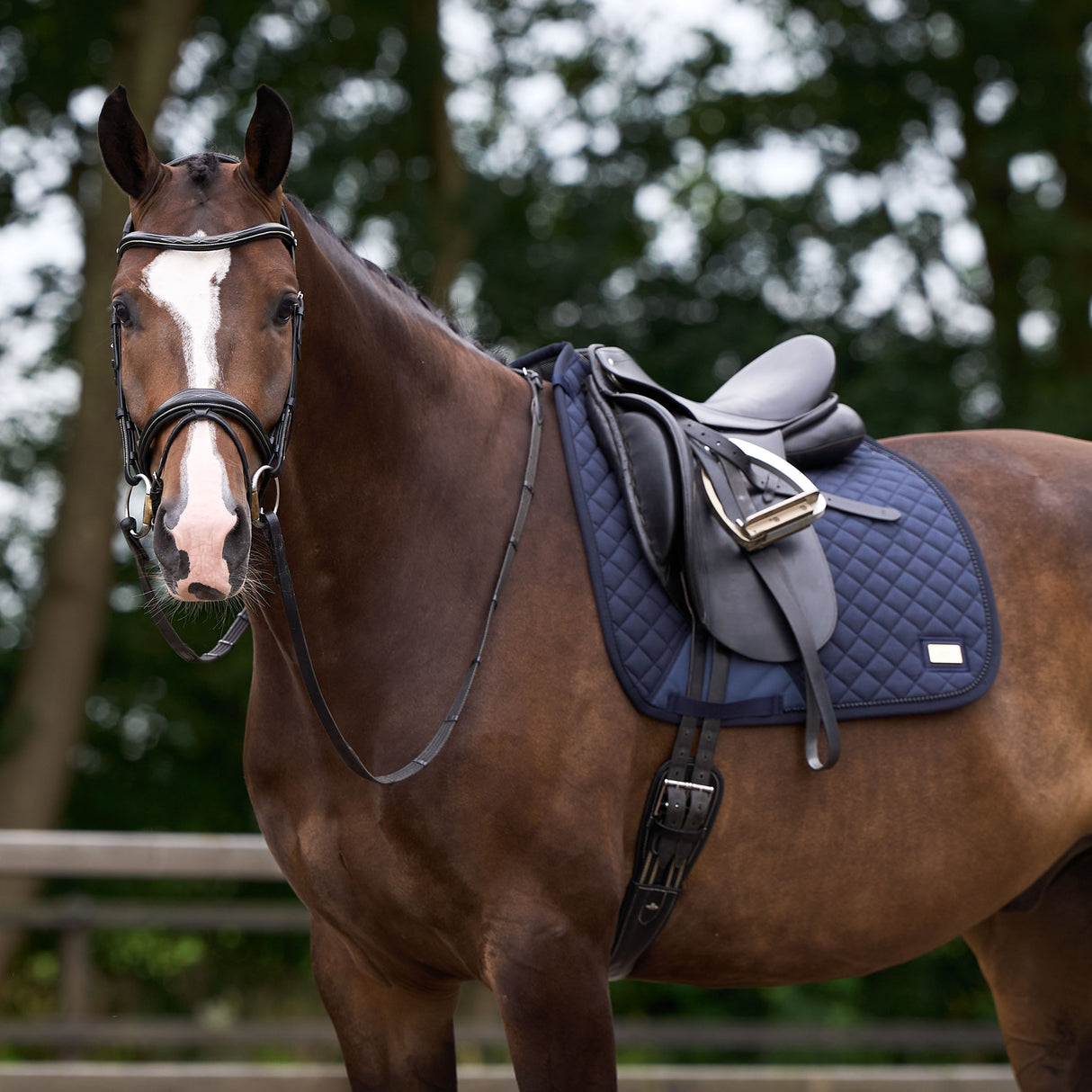 HV Polo Pro Performance Dressage Saddle Pad #colour_navy