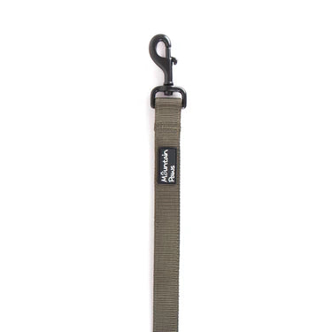 Mountain Paws Extra Tough Dog Lead #colour_olive