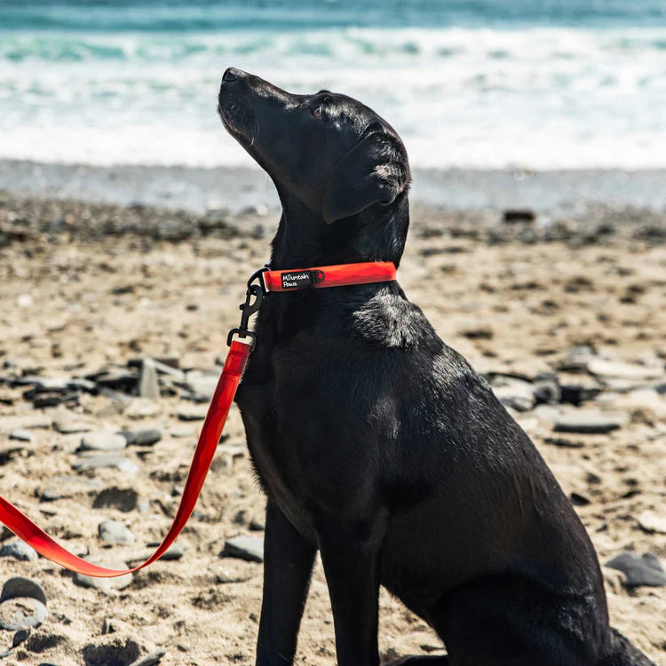Mountain Paws Waterproof Dog Lead #colour_orange