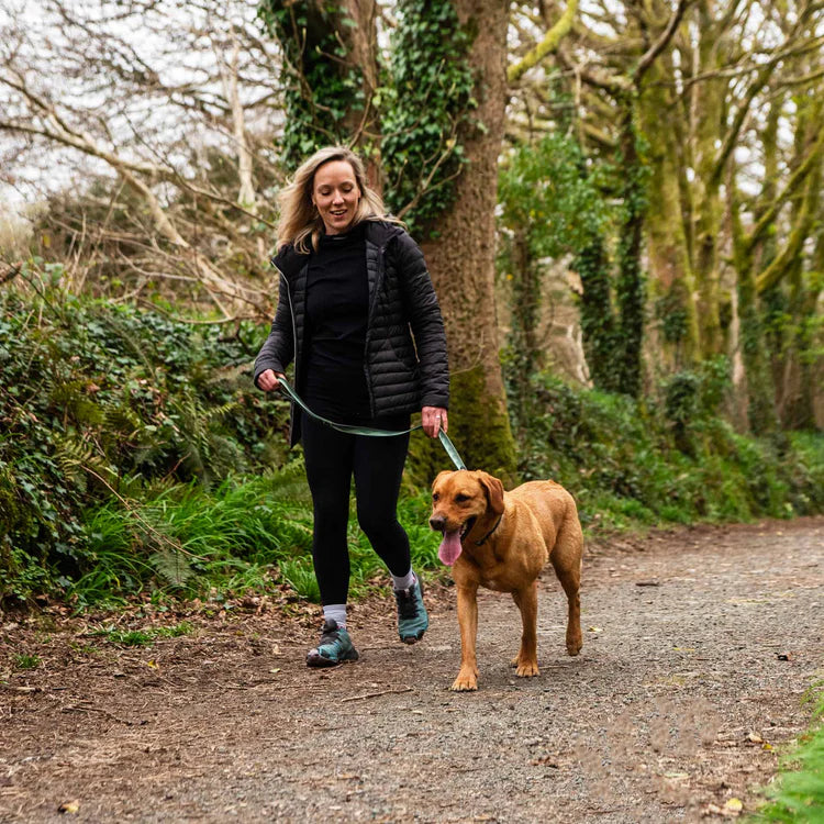 Mountain Paws Waterproof Dog Lead #colour_green