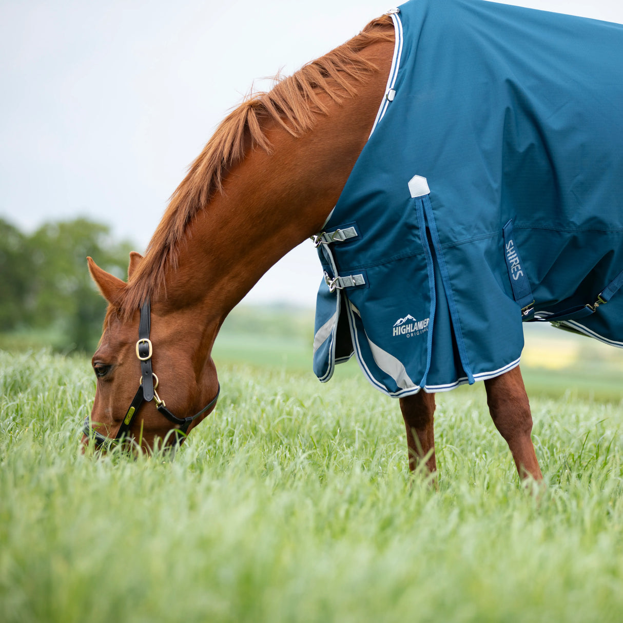 Shires Highlander Original 50g Turnout Rug