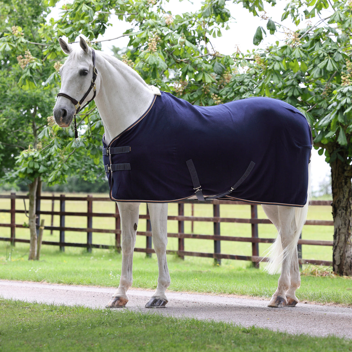 Shires Tempest Original Fleece Rug