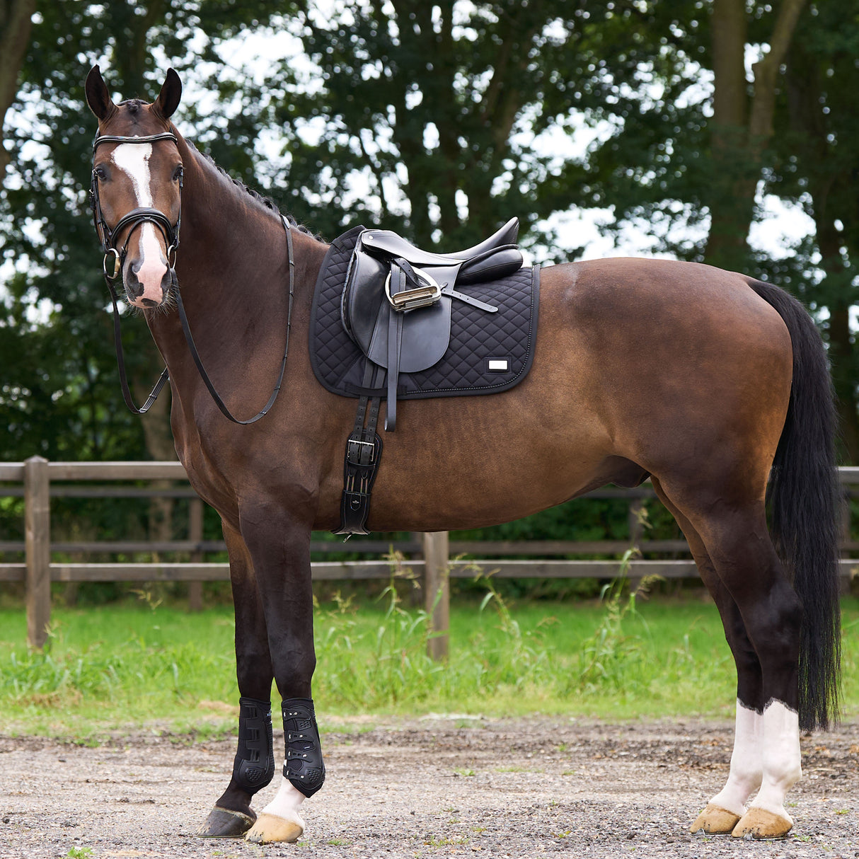 HV Polo Pro Performance Dressage Saddle Pad #colour_black