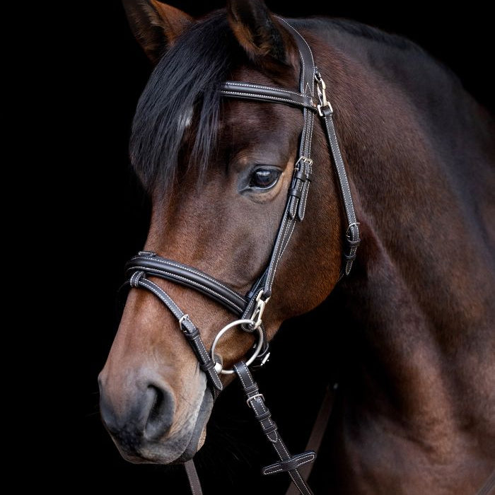 Waldhausen X-Line Bridle Work #colour_brown