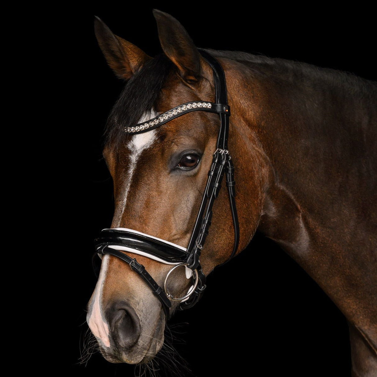 Waldhausen Evermore X-Line Bridle #colour_black-white
