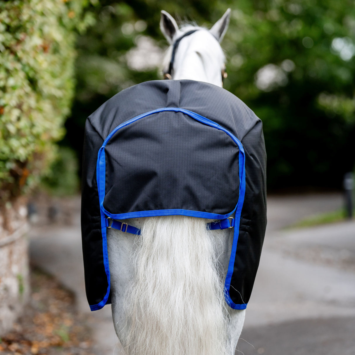 Horseware Ireland Amigo Ripstop 900D 100g Pony Turnout Rug #colour_black-classic-blue
