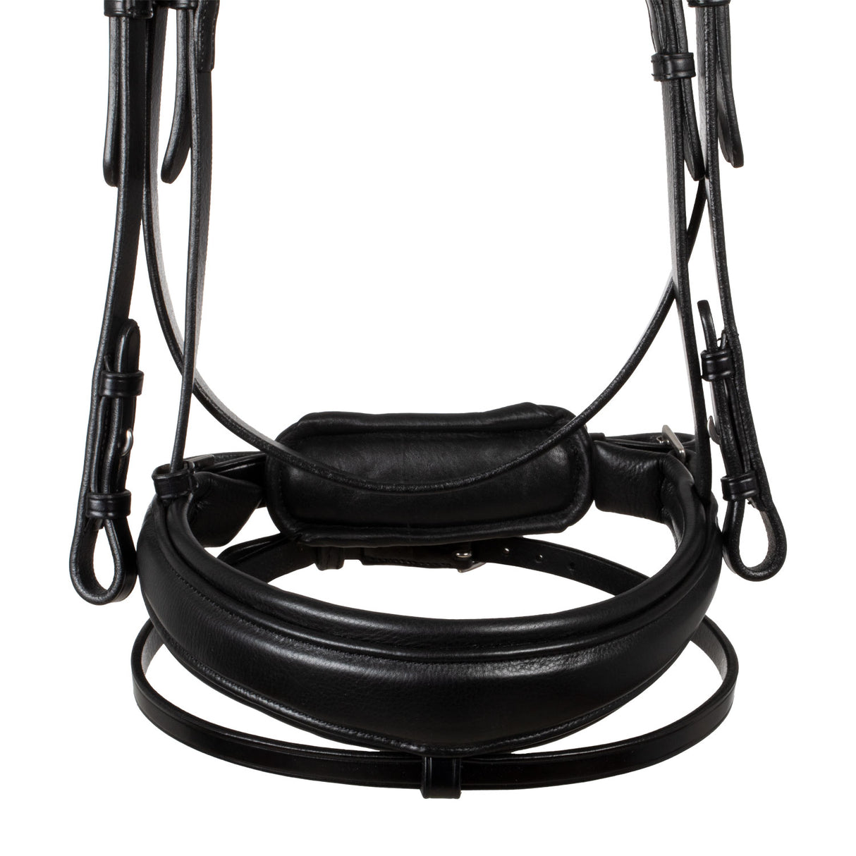 Acavallo Starry Night Calfskin Bridle #colour_black