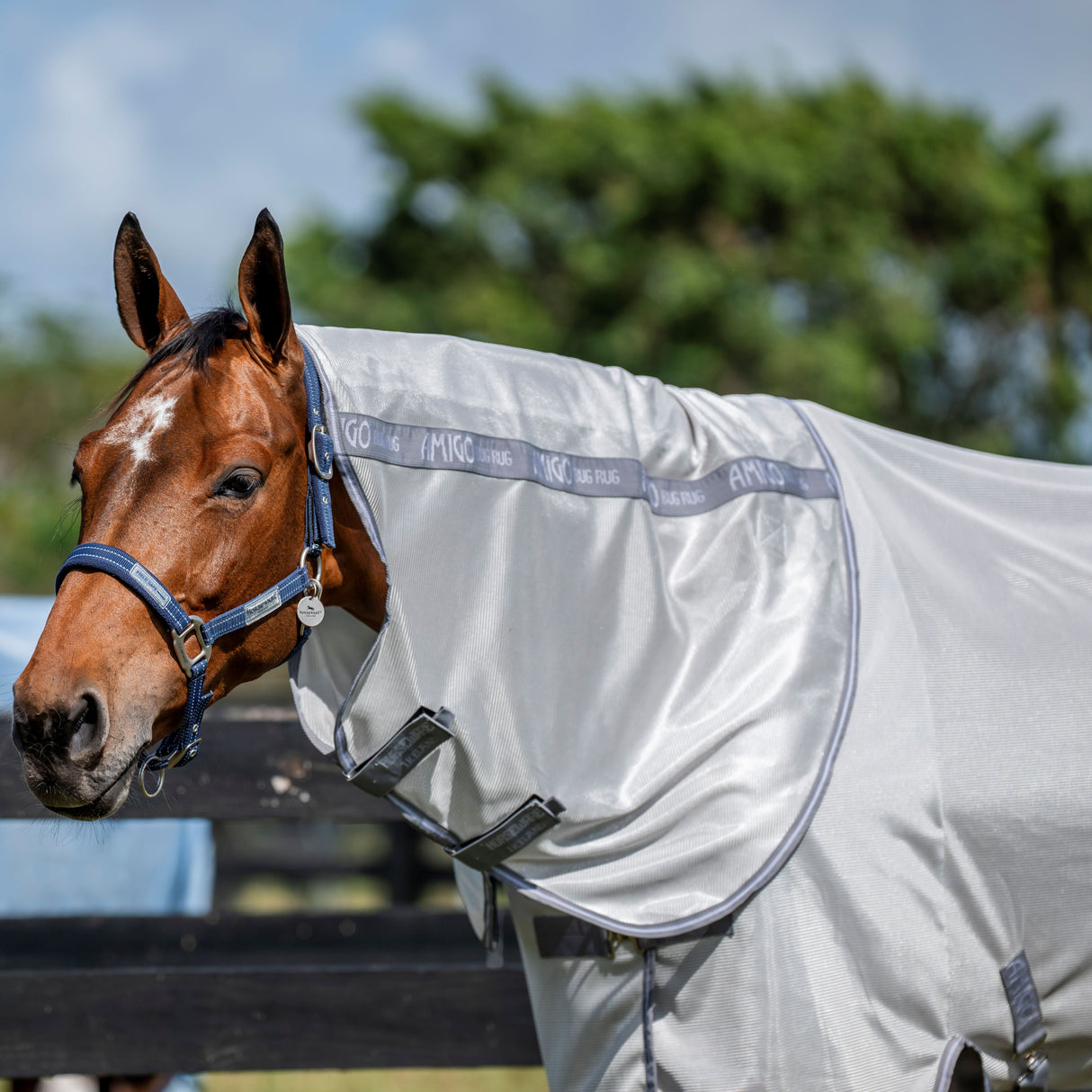 Horseware Ireland Amigo Bug Rug XL Plus #colour_silver-titanium-grey-silver