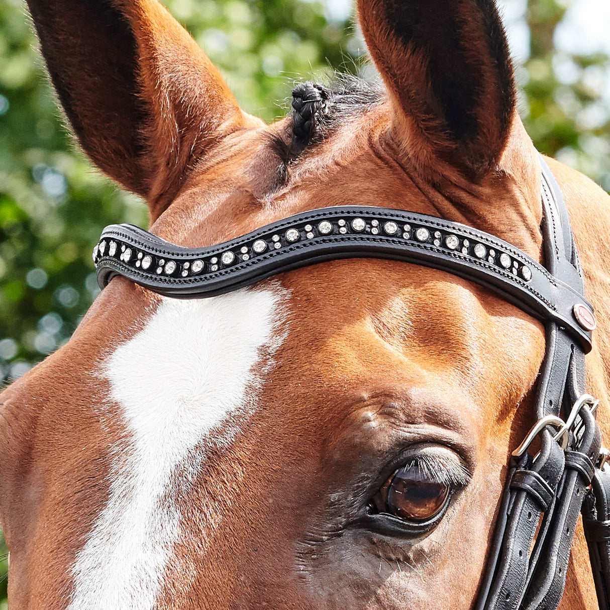 Whitaker Lynton Curved Diamante Browband #colour_havana