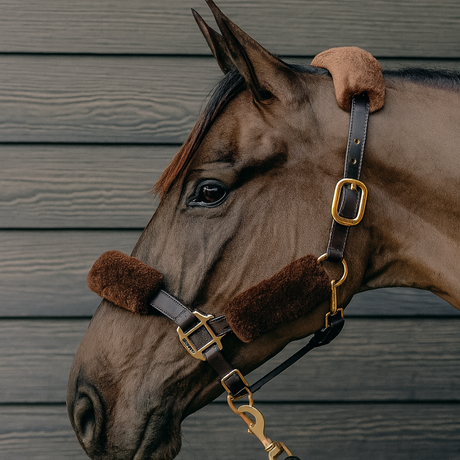 KM Elite Teddy Soft Headstall Set #colour_mocha
