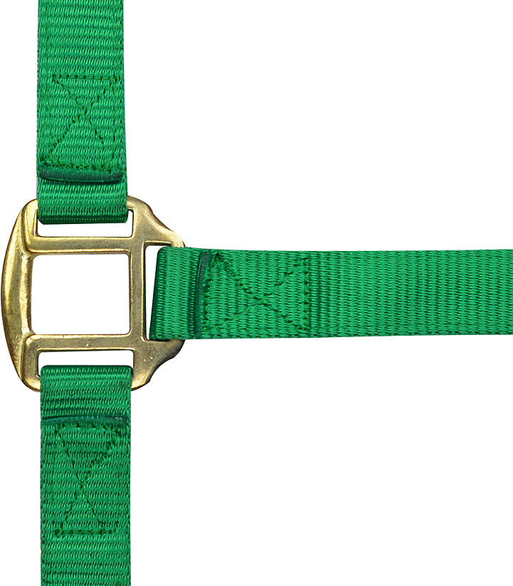 Norton Leather Lined Nylon Headcollar