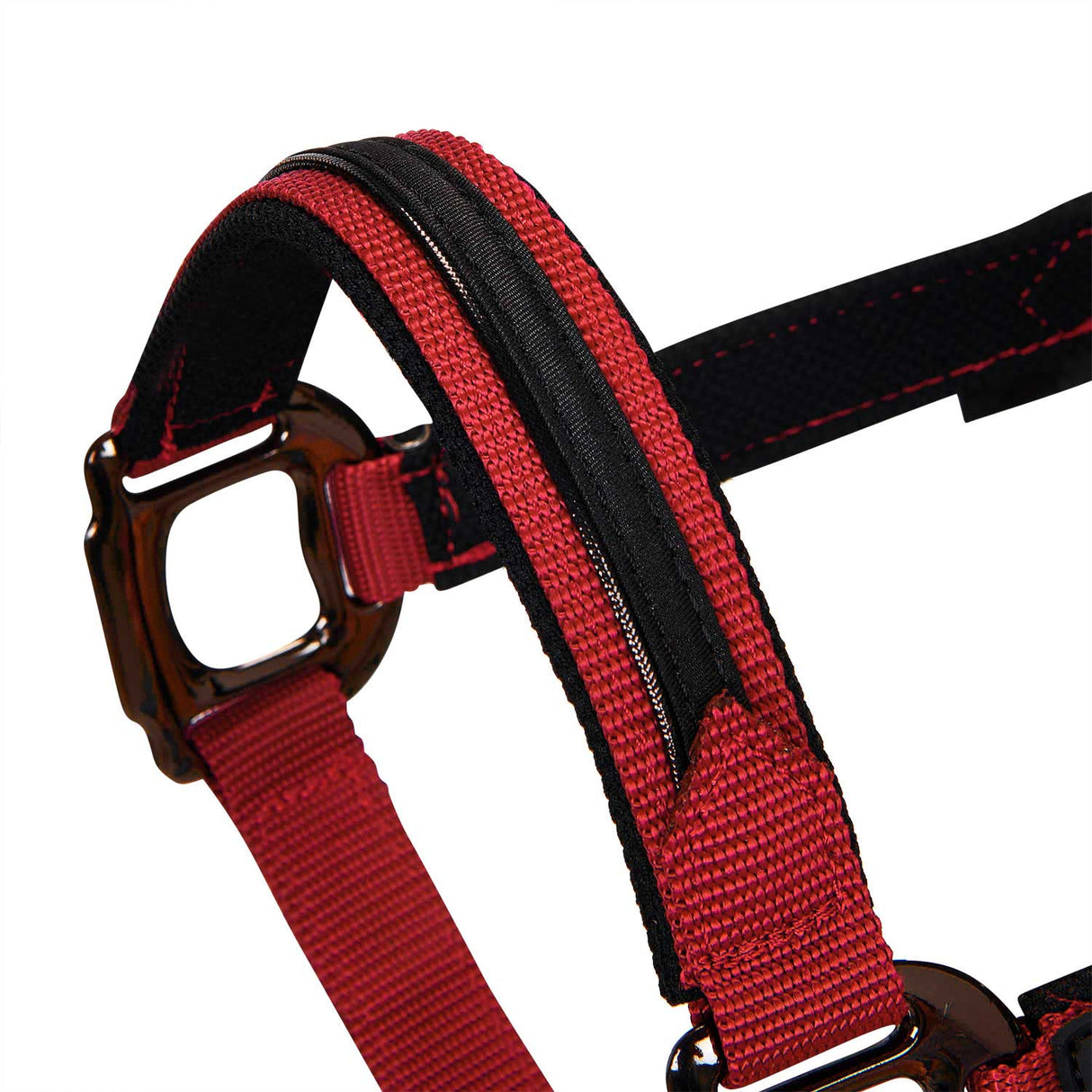 Equestro Durable Fleece Halter #colour_red