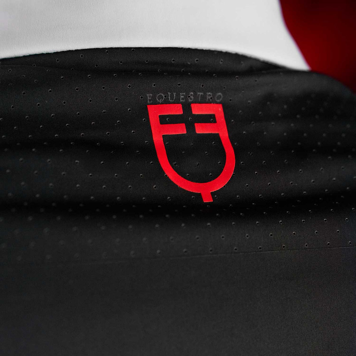 Equestro Equestro Ridertechnology Men's Competition Polo Shirt Long Sleeves And Buttons #colour_black