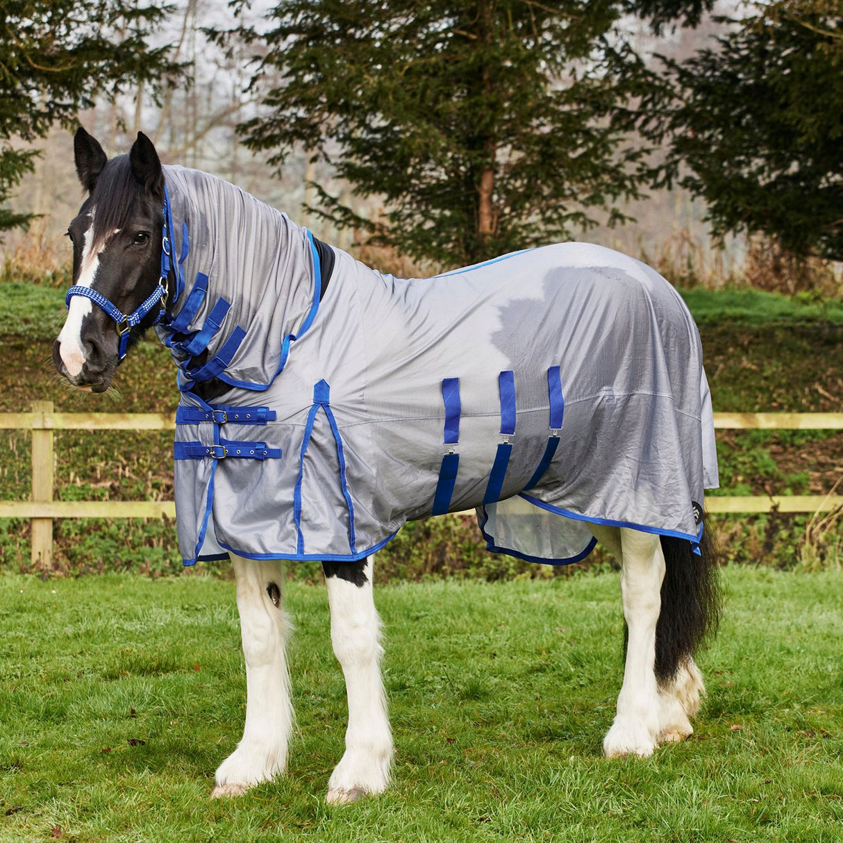 Firefoot Fixed Neck Fly Rug Grey/blue