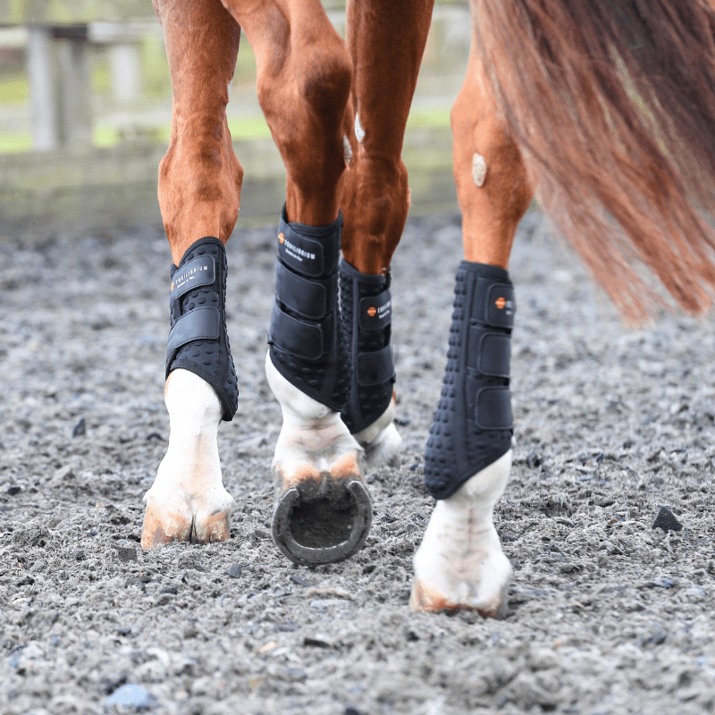Equilibrium Stretch and Flex Flatwork Wraps
