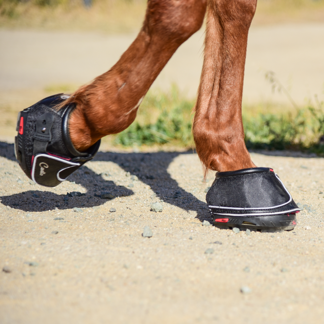 Cavallo Sport Boot Slim mit FOC Hufkratzer und -bürste