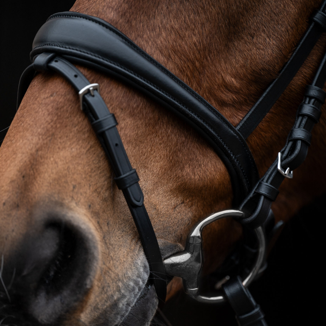 HKM Bridle -Kopenhagen-