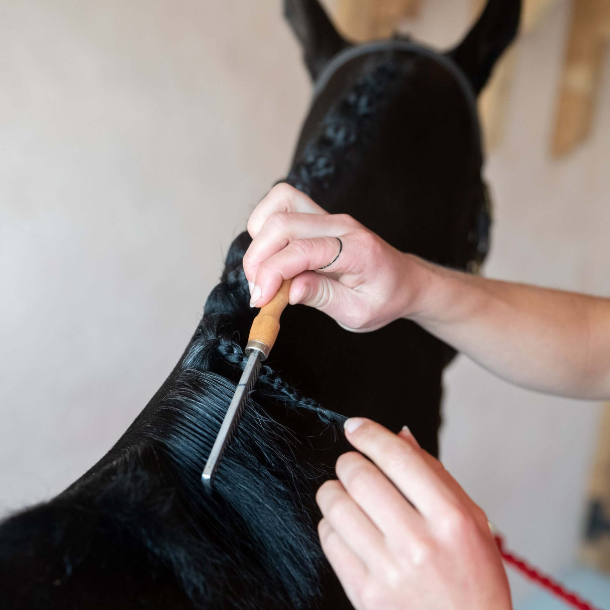 Smart Grooming Mane Comb