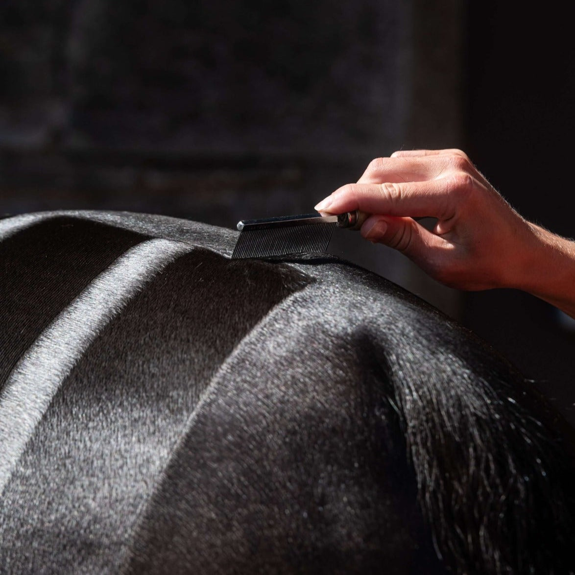 Smart Grooming Hunter Marker Comb