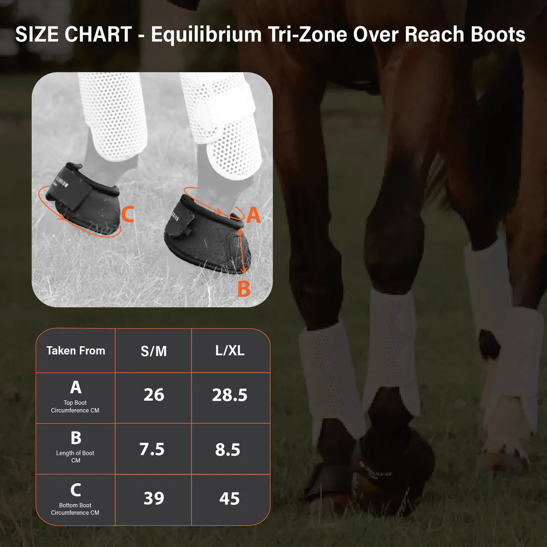 Equilibrium Tri-Zone-Over-Reach-Stiefel
