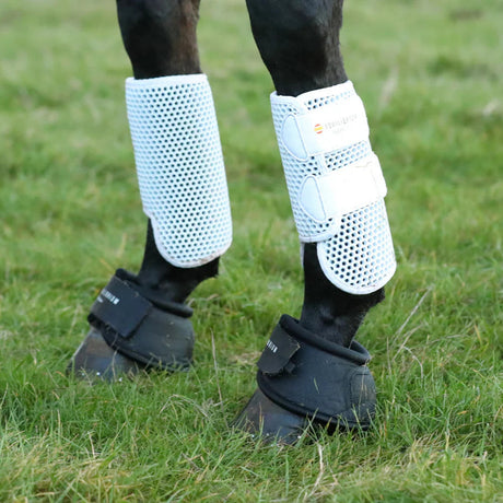 Equilibrium Tri-Zone-Over-Reach-Stiefel