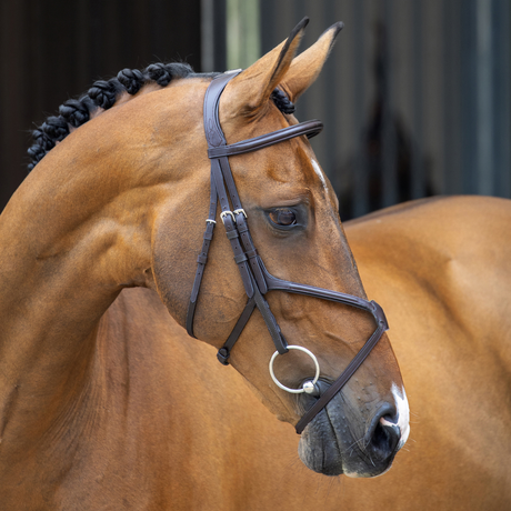 Shires Lusso Grackle Bridle #colour_havana