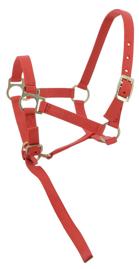 Norton Foal Headcollar Lead Rope