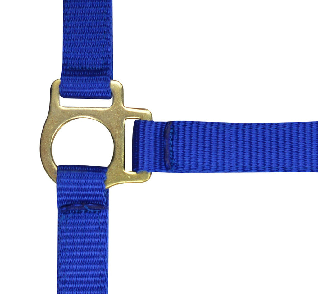 Norton Foal Headcollar Lead Rope