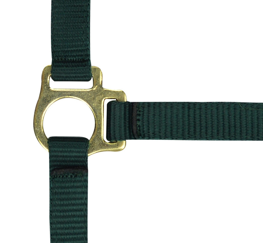 Norton Foal Headcollar Lead Rope