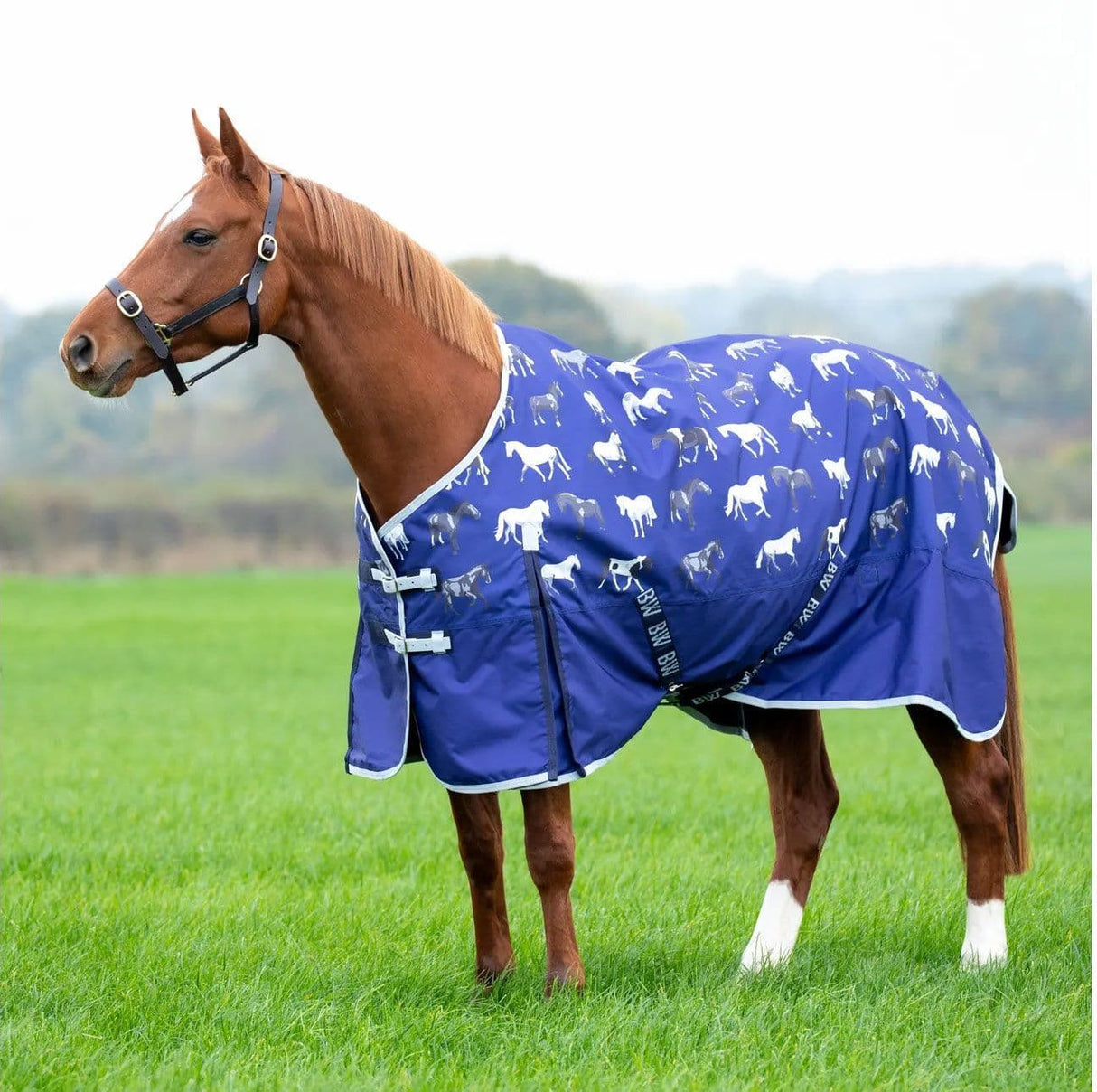 Bridleway Ontario Lite Turnout Rug #colour_navy-horse