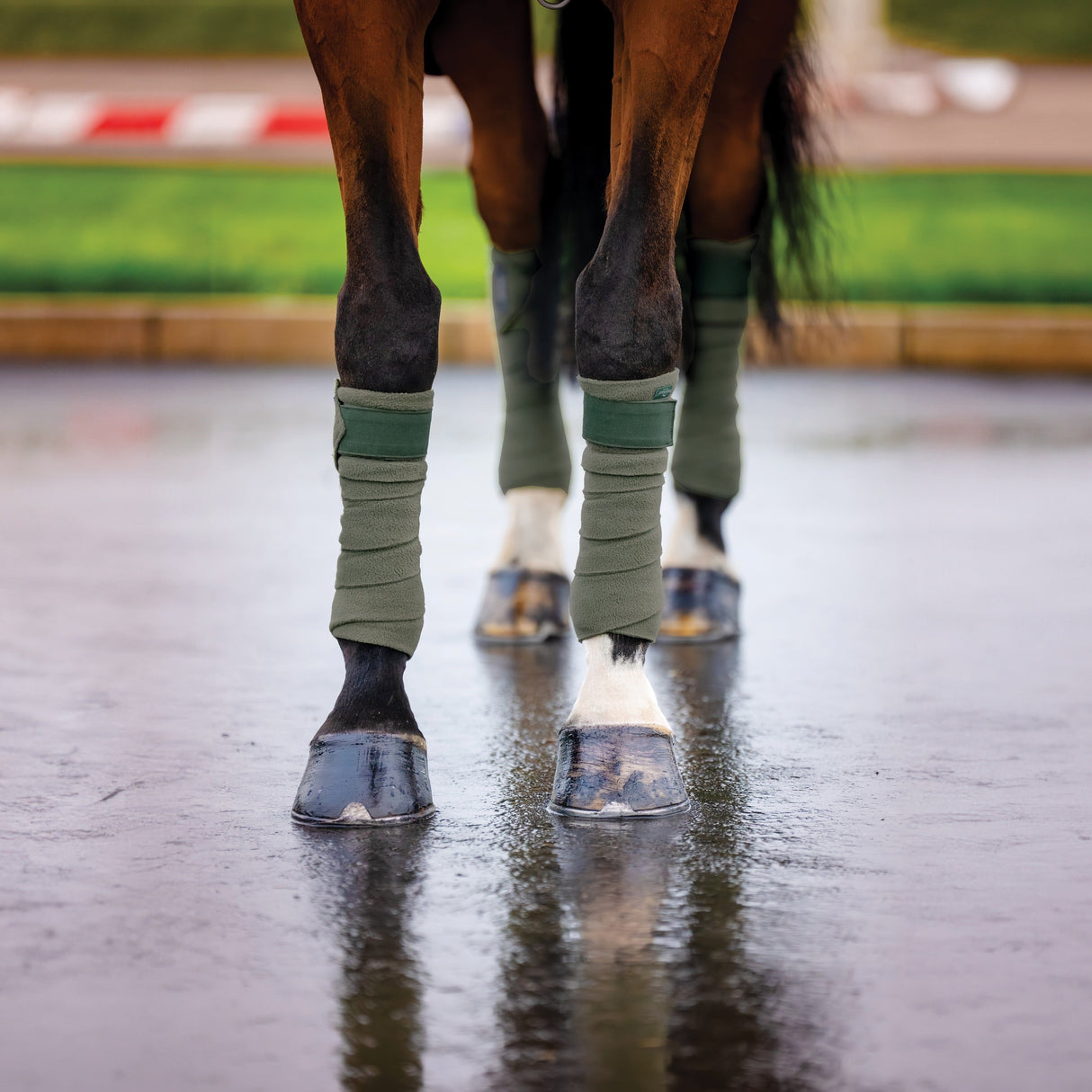 Horseware Ireland Amigo Fleece Bandages #colour_bramble