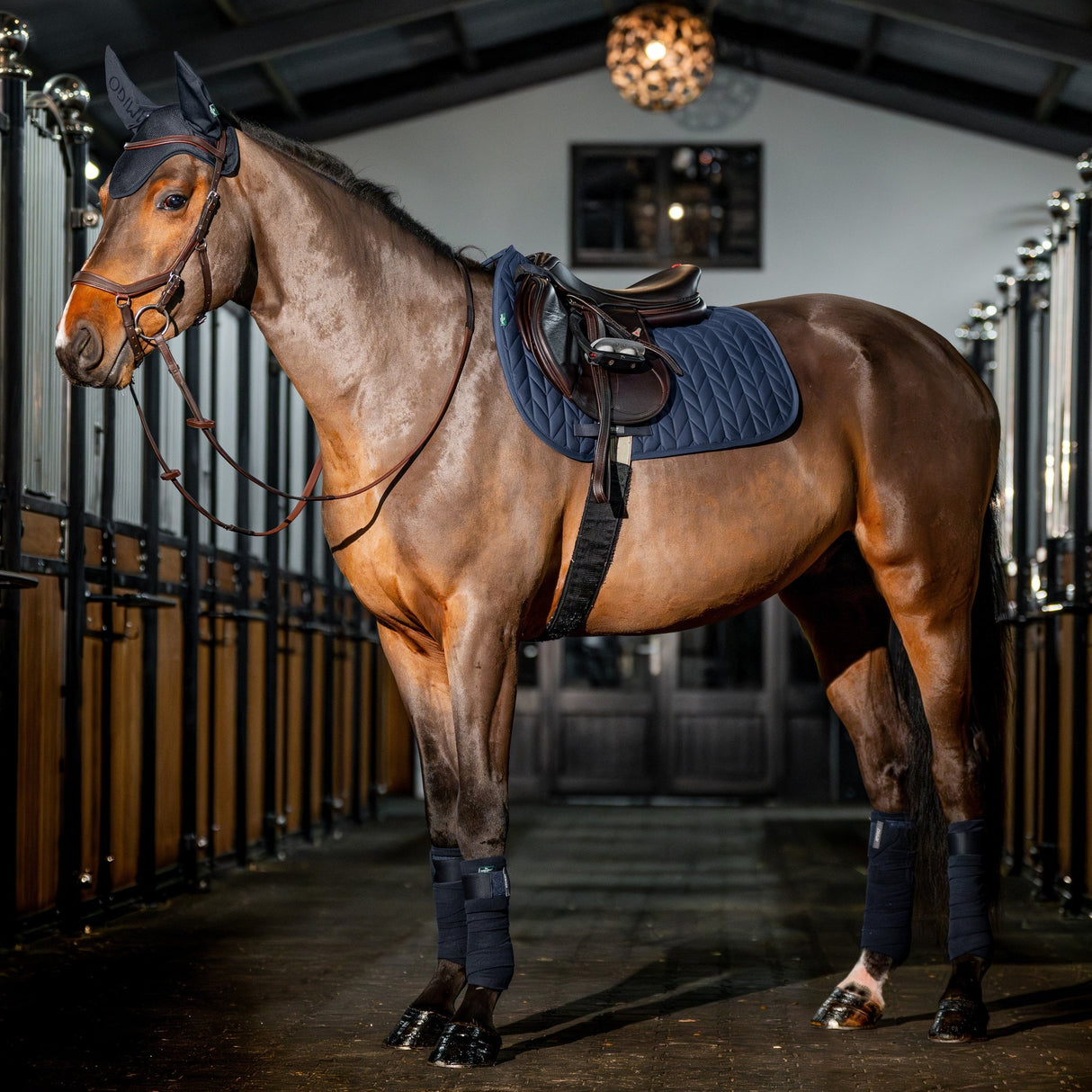 Horseware Ireland Amigo GP Saddle Pad #colour_navy