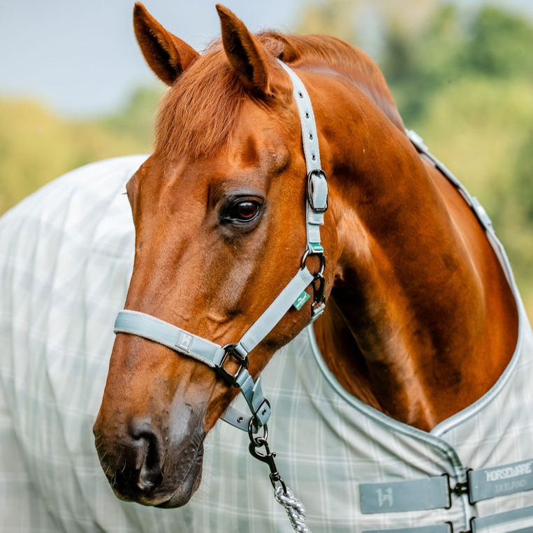 Horseware Ireland Newmarket Headcollar & Leadrope #colour_whitney-charcoal