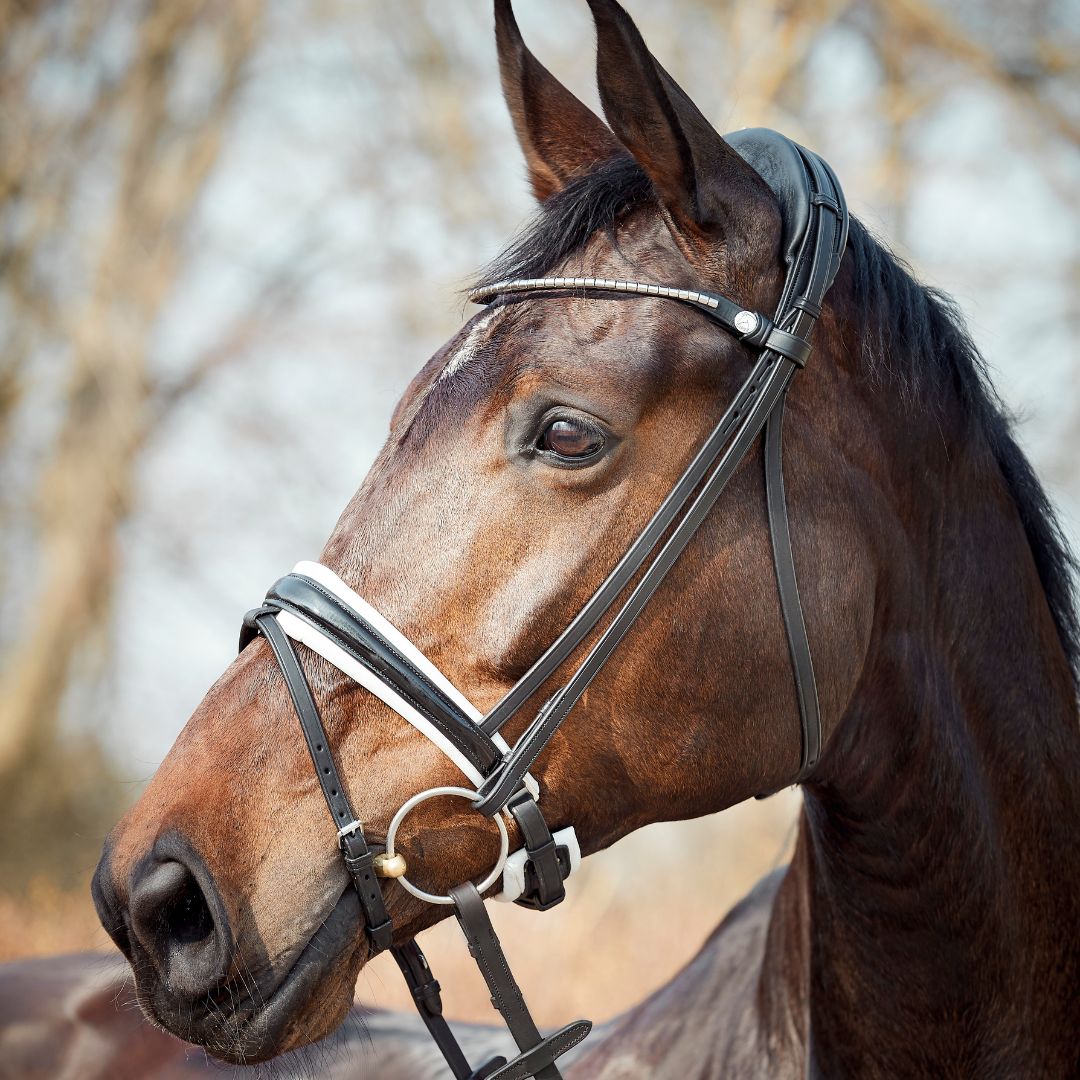 Finesse Cayenne Flash Bridle