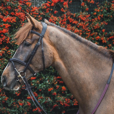 Mackey Legend Athena Bridle #colour_brown