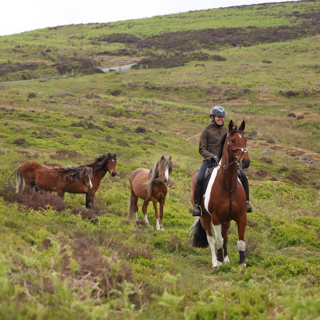 Shires Aubrion Heritage Unisex Quarter Zip Fleece #colour-dark-olive