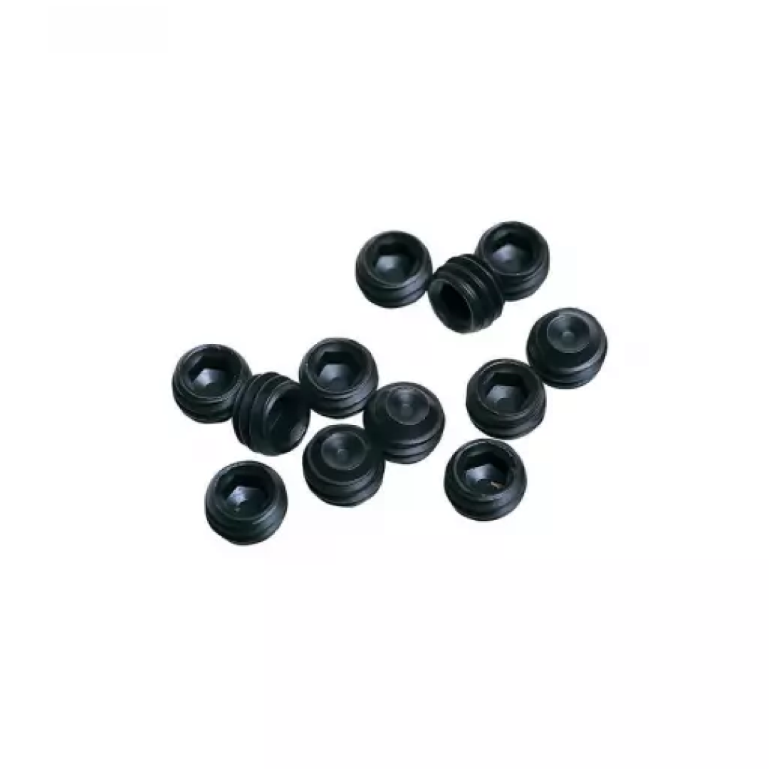 Bouchon de trou de goujon à visser Roma