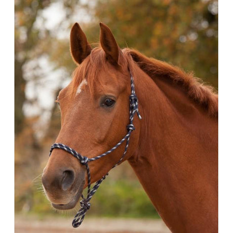 Waldhausen Knotted Halter #colour_night-blue-silver