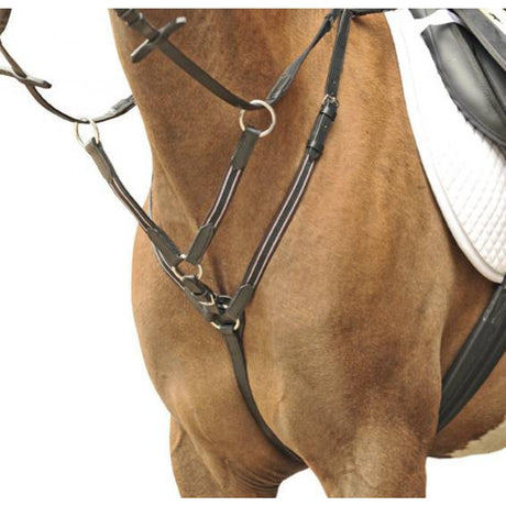 Martingale/plastron HKM avec raccords argentés
