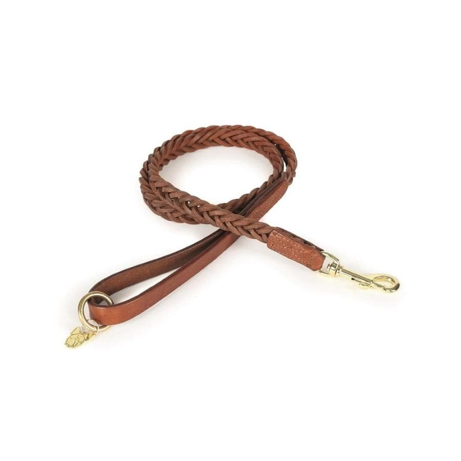 Shires Digby & Fox Plaited Dog Lead